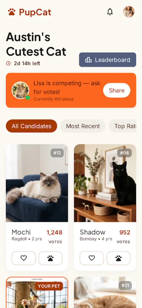 Contest screen with candidate pets and free voting